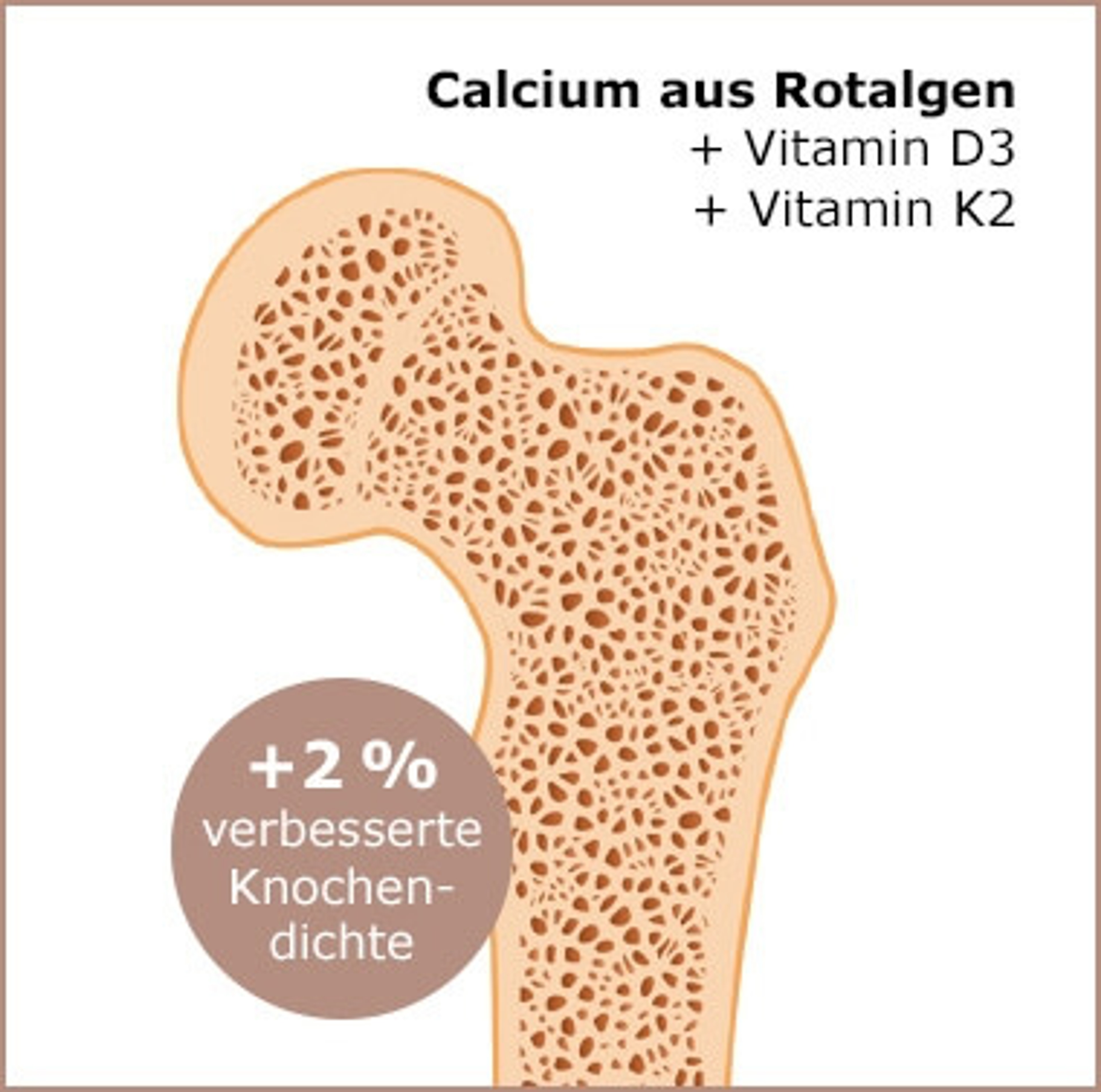 calcium-aus-rotalgen.jpg